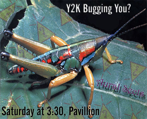 Y2K Bug Flyer